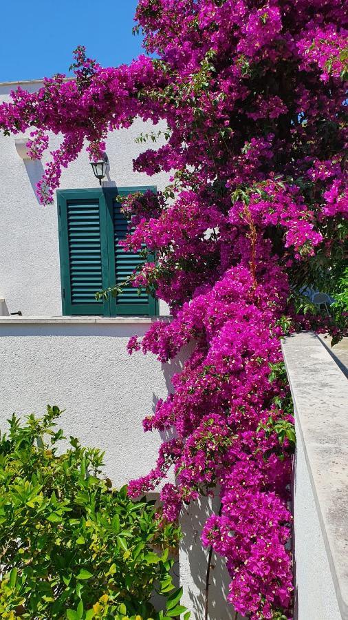 Apartman Filis Hvar Town Exterior photo